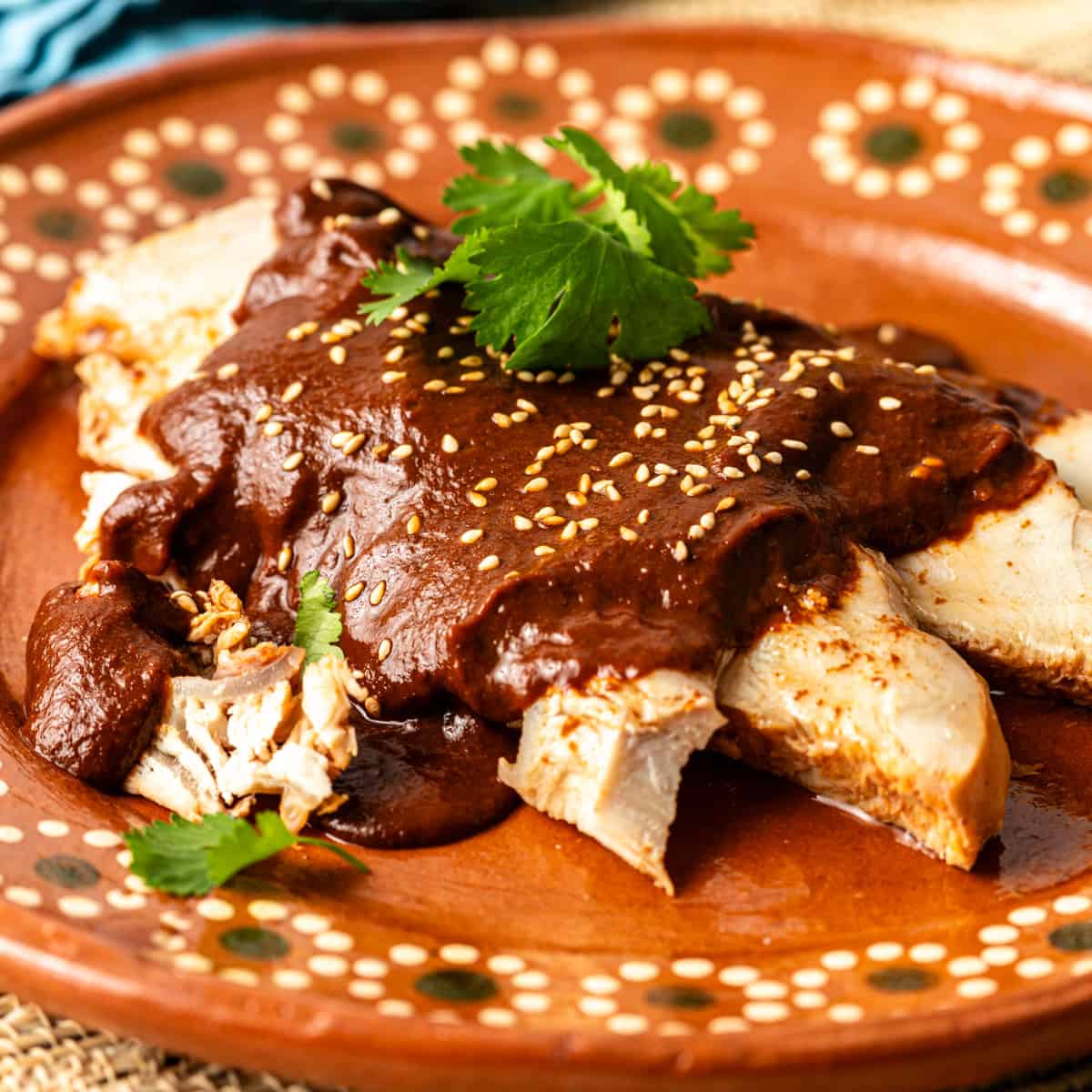Mole en Pasta Xiqueño x 500g