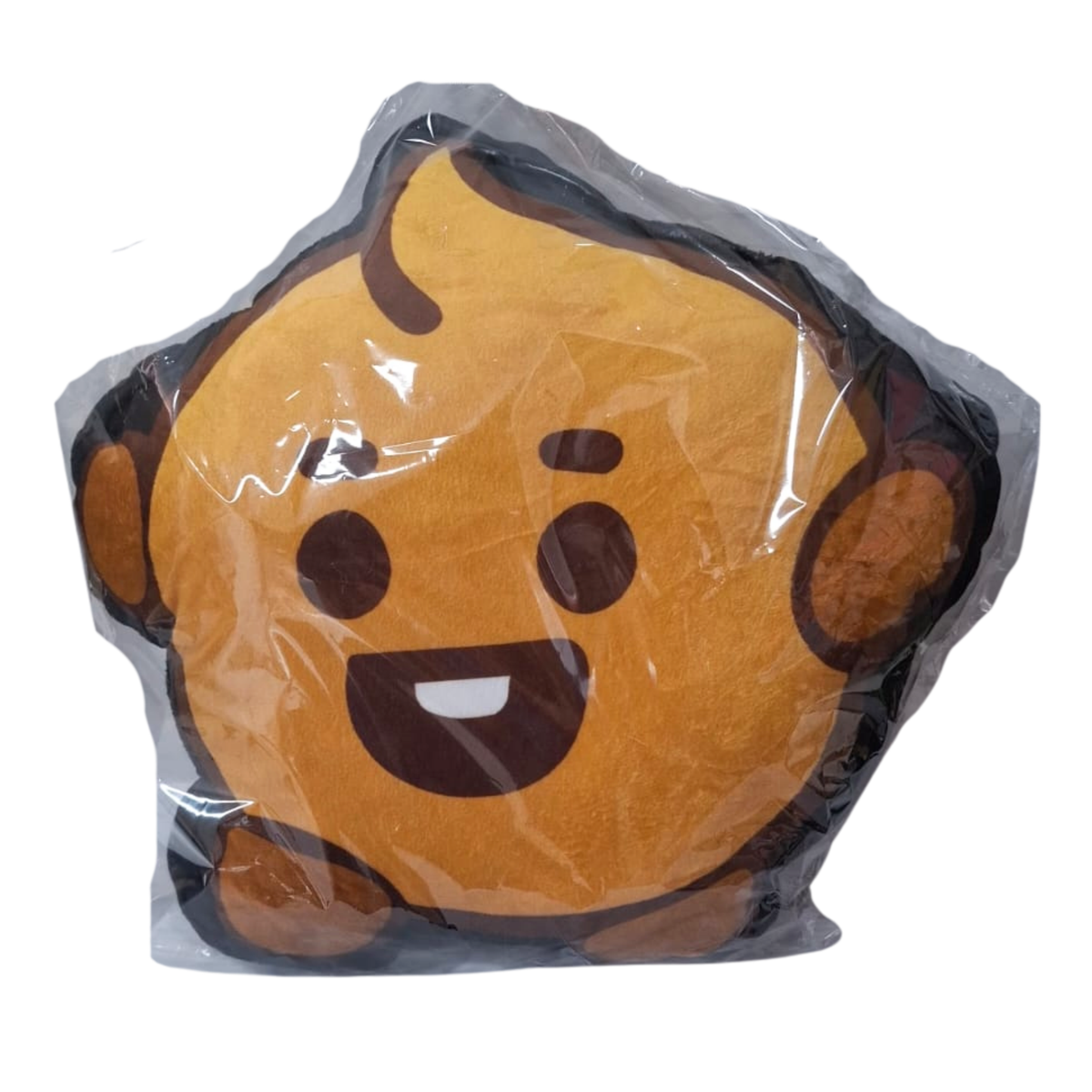 Cojin BT21 x 1 Uds